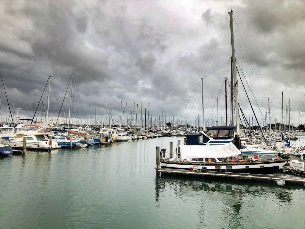 Emeryville Crescent State Marine Reserve | 3308 Powell St, Emeryville, CA 94608, USA | Phone: (916) 653-6995