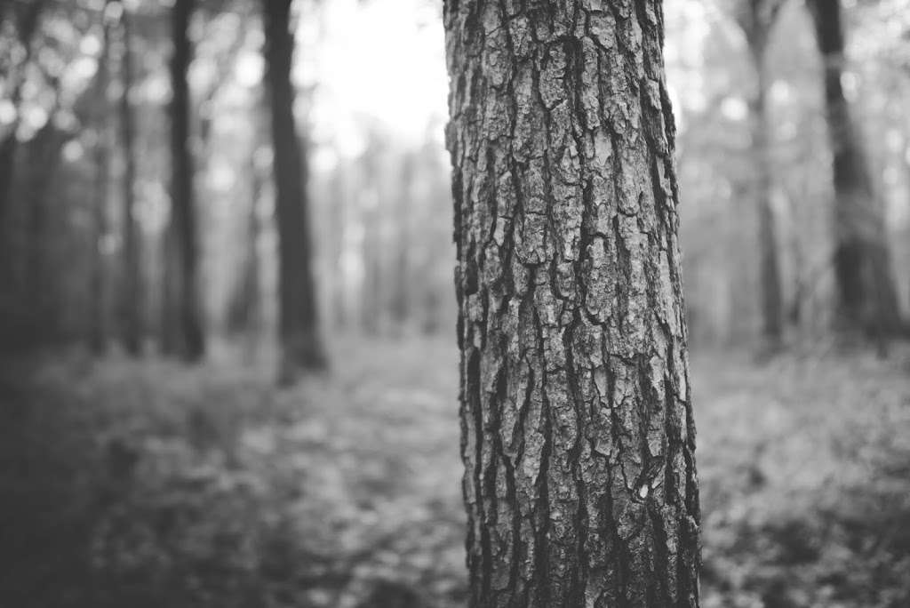 Five Mile Woods Preserve Headquarters | 1305 Big Oak Rd, Yardley, PA 19067, USA | Phone: (215) 493-6652