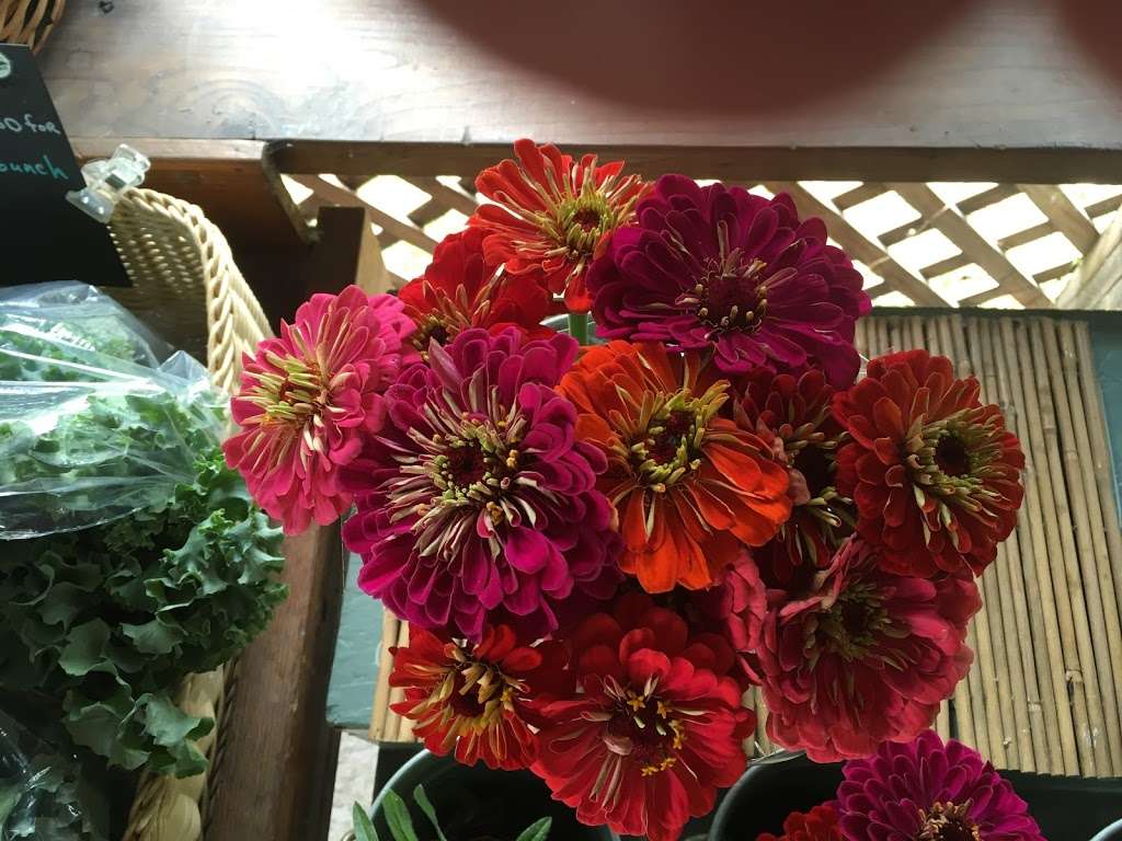 Zwecks Fresh Vegetables & Flowers | 10901 Airport Rd, Longmont, CO 80503, USA | Phone: (303) 776-1171