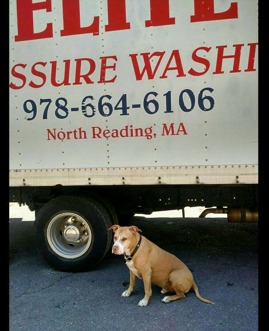 Elite Mobile Pressure Washing | 15 Salem St, North Reading, MA 01864, USA | Phone: (978) 664-6106