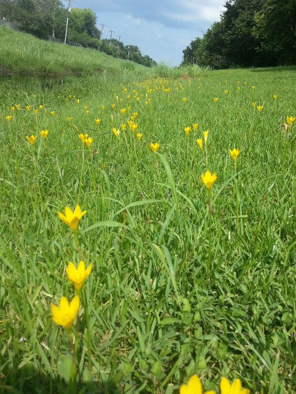 Meadow Bend Park | 400 Meadow Pkwy, League City, TX 77573, USA