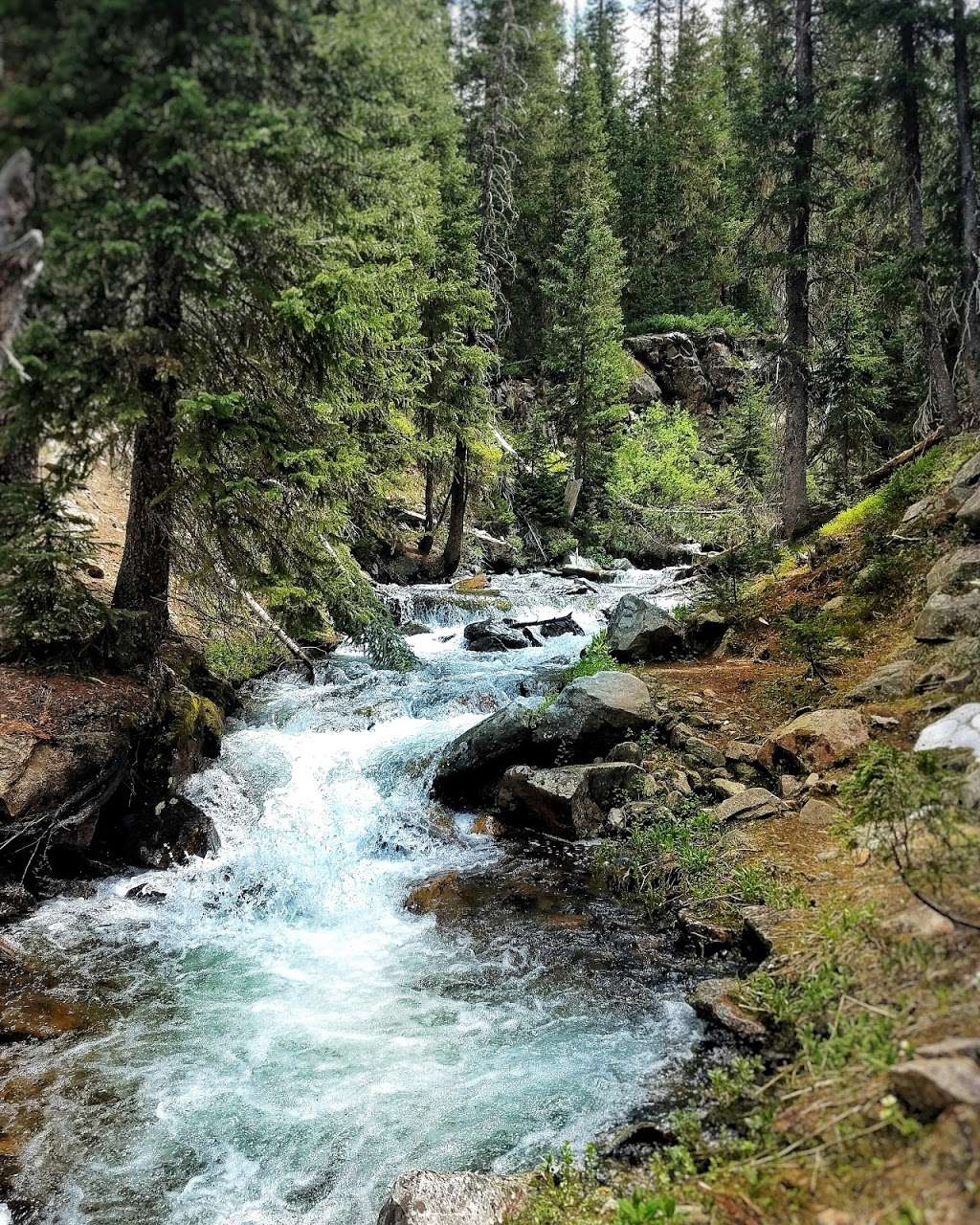 Jim Creek Trail | Idaho Springs, CO 80452, USA