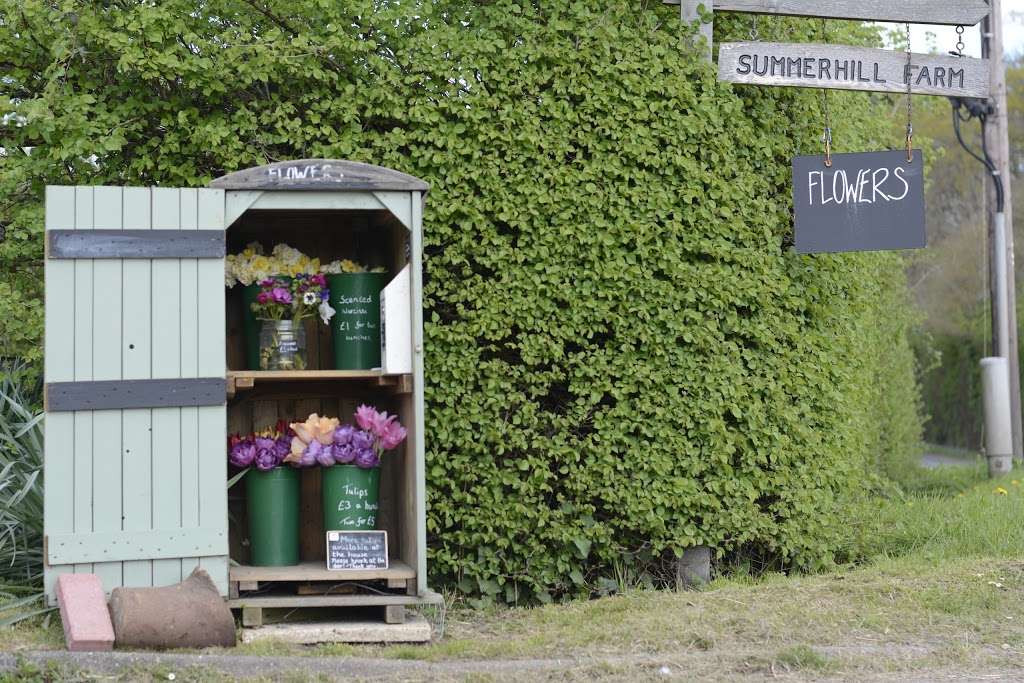 Flowers at Summerhill | Summerhill Farm, Summerhill, Goudhurst TN17 1JU, UK | Phone: 07857 289125