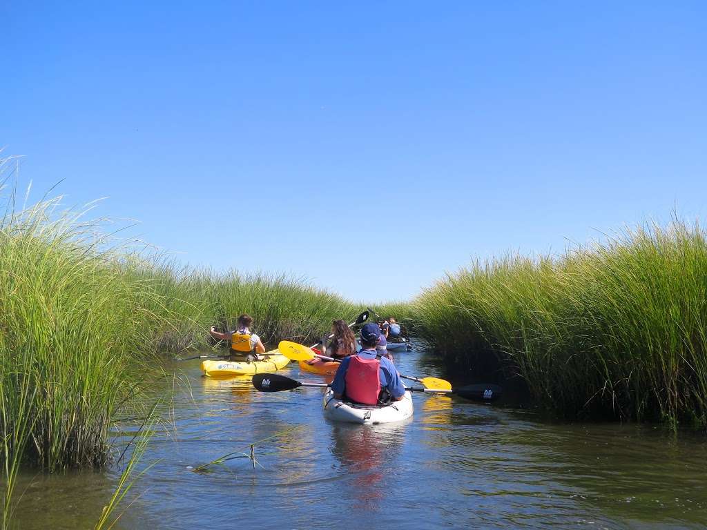 Baycats - Ocean City, NJ - Kayaks, Paddle Boards & Catamarans | 316 Bay Ave, Ocean City, NJ 08226 | Phone: (609) 391-7960