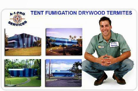 Drywood Termite Fumigation by A1Pro Services | 6478 SW 11th St, Miami, FL 33144, USA | Phone: (305) 773-0063