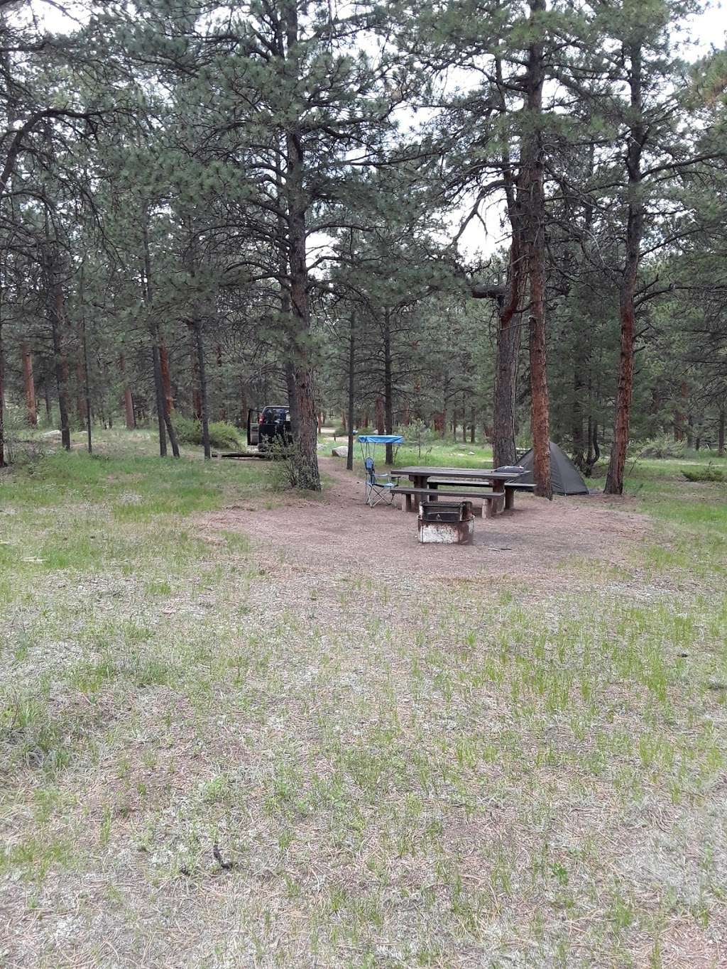 Buffalo Campground | Forest Rd 550, Pine, CO 80470 | Phone: (303) 275-5610