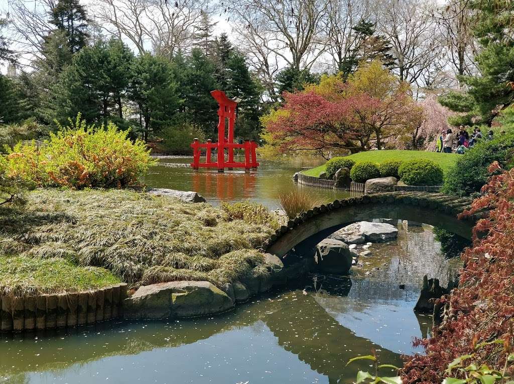 Brooklyn Botanic Garden | 990 Washington Ave, Brooklyn, NY 11225, USA | Phone: (718) 623-7200