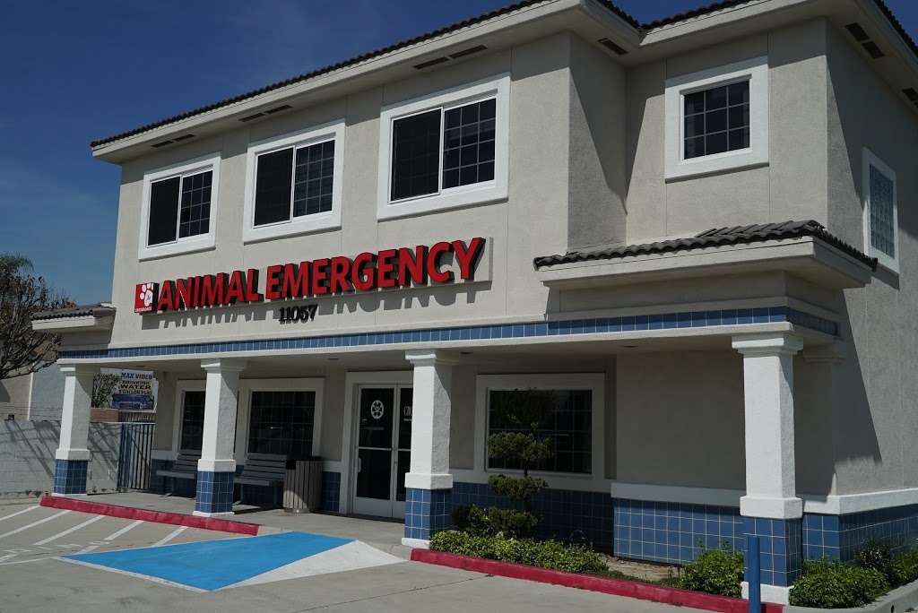 CROSSROADS ANIMAL EMERGENCY | 11057 Rosecrans Ave, Norwalk, CA 90650, USA | Phone: (562) 262-3446