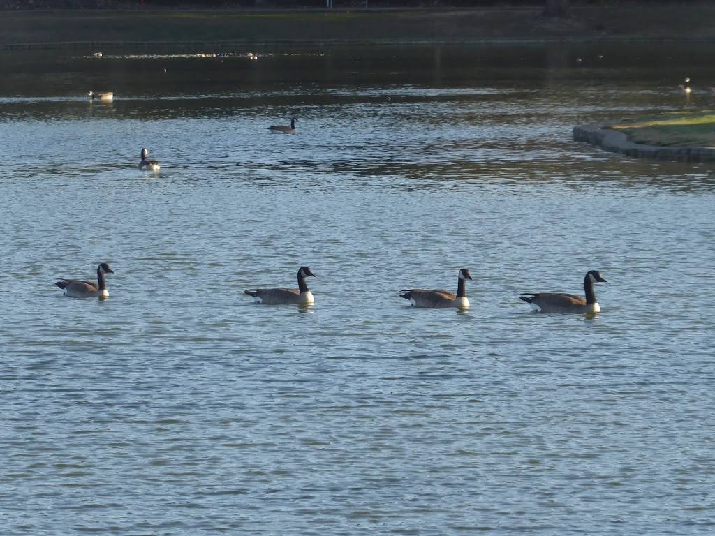 William R Mason Regional Park | 18712 University Dr, Irvine, CA 92612, USA | Phone: (949) 923-2220