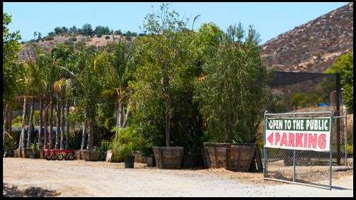 Murrieta Oaks Nursery | 35921 Greer Rd, Murrieta, CA 92562 | Phone: (951) 679-0664