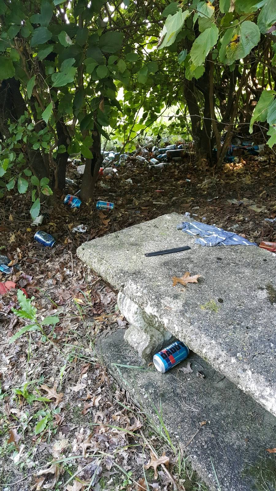 Allegheny County Memorial Park | 1600 Duncan Ave, Allison Park, PA 15101, USA | Phone: (412) 366-8296