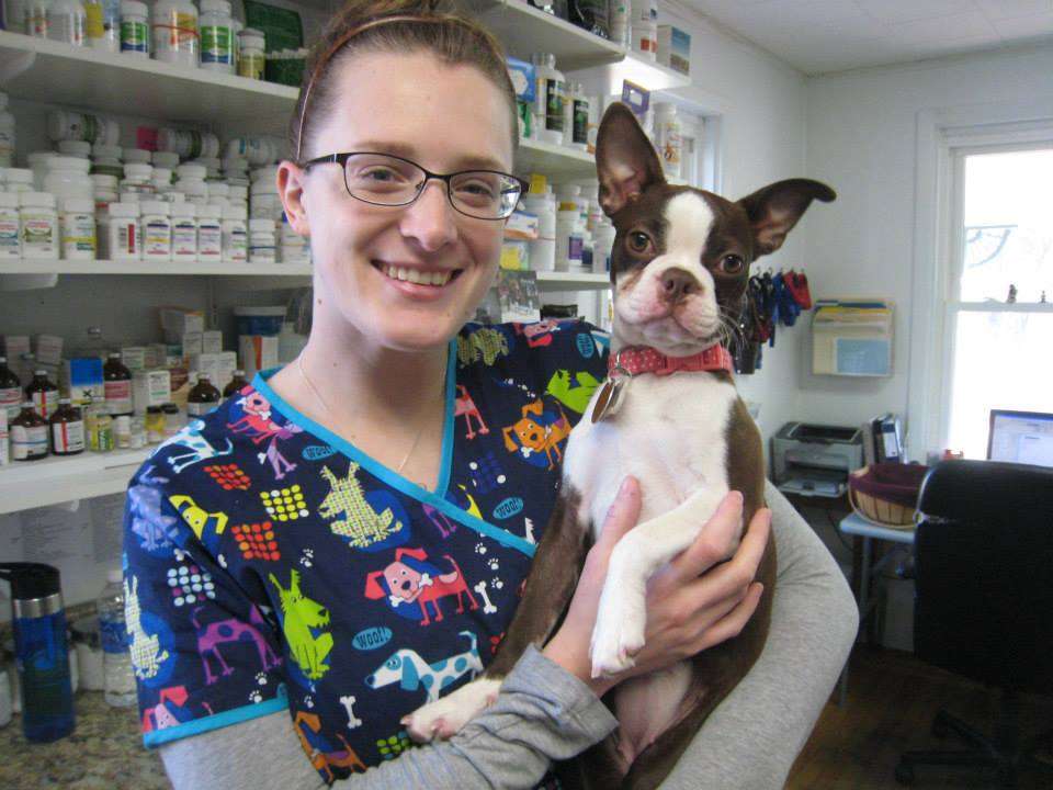 Family Veterinary Services | 402 US-206, Montague Township, NJ 07827, USA | Phone: (973) 293-7486