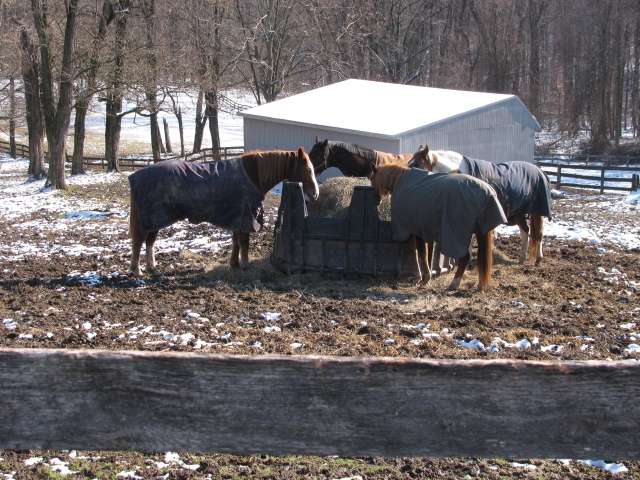 Graham Equestrian Center | 10301 Harford Rd, Glen Arm, MD 21057, USA | Phone: (410) 663-4445