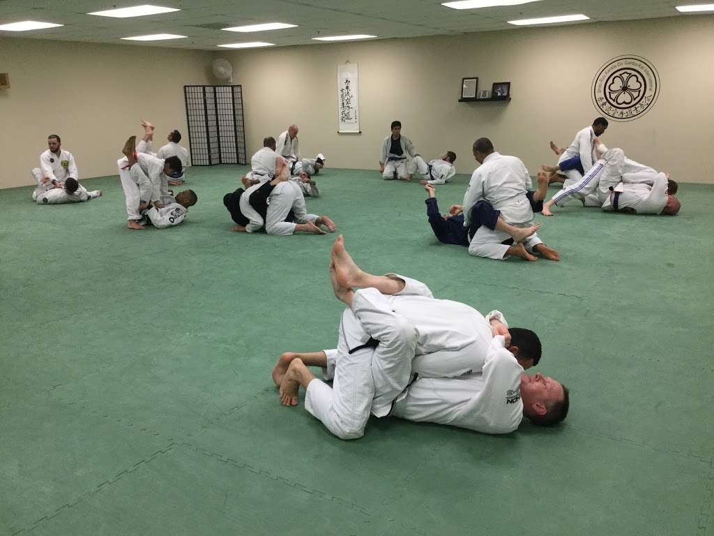 Hillsborough Brazilian Jiu-Jitsu | 30 Brower Ln, Hillsborough Township, NJ 08844, USA | Phone: (201) 320-0640