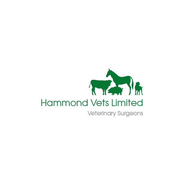 Hammond Vets Ltd | Southend Farm Cottage, Hertford SG14 3NJ, UK | Phone: 01920 487443