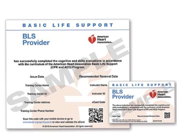 Download American Home Care Nj