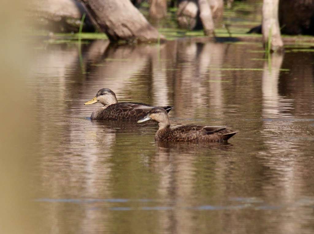 Port Mercer Canal House | 4278 Quakerbridge Rd, Princeton, NJ 08540, USA | Phone: (732) 873-3050