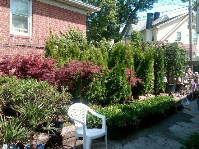 Anthony Gallo Landscaping & Nursery | 1909 Flatbush Ave, Brooklyn, NY 11210, USA | Phone: (718) 377-1046