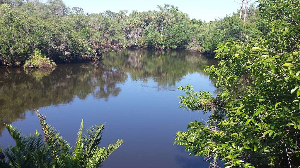 Halpatiokee Regional Park | 8303 SW Lost River Rd, Stuart, FL 34997, USA | Phone: (772) 221-1419
