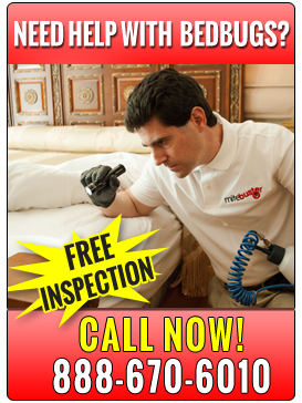 MiteBuster Pest Control | 63-3763 83rd St #238, Jackson Heights, NY 11372, USA | Phone: (347) 334-6060