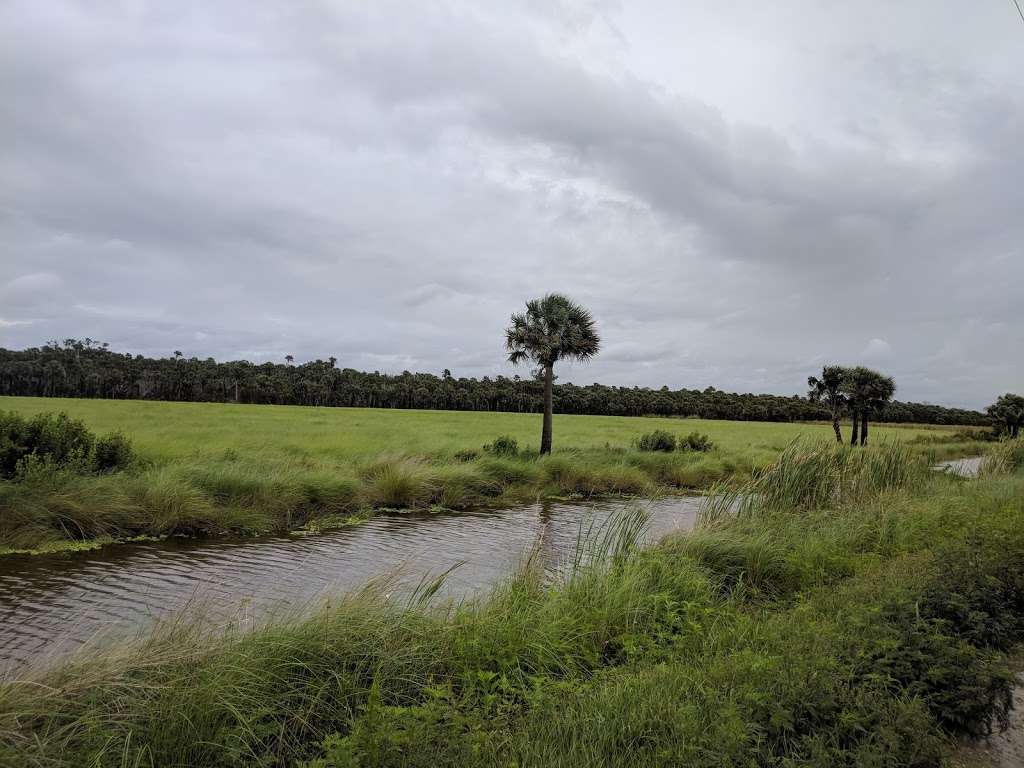 Tosohatchee Wildlife Management Area | 3365 Taylor Creek Rd, Christmas, FL 32709, USA | Phone: (352) 732-1225