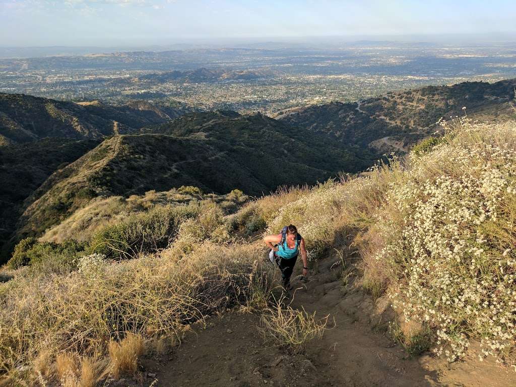 Top of Punk Out Trail | Lower Monroe Rd, Glendora, CA 91741, USA