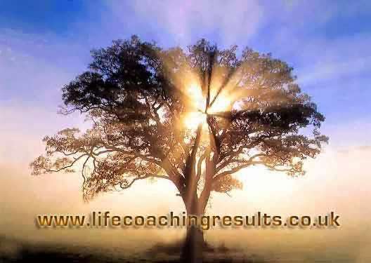 San Diego Life Coach | 2939 Alta View Dr, San Diego, CA 92139, USA | Phone: (619) 324-3577