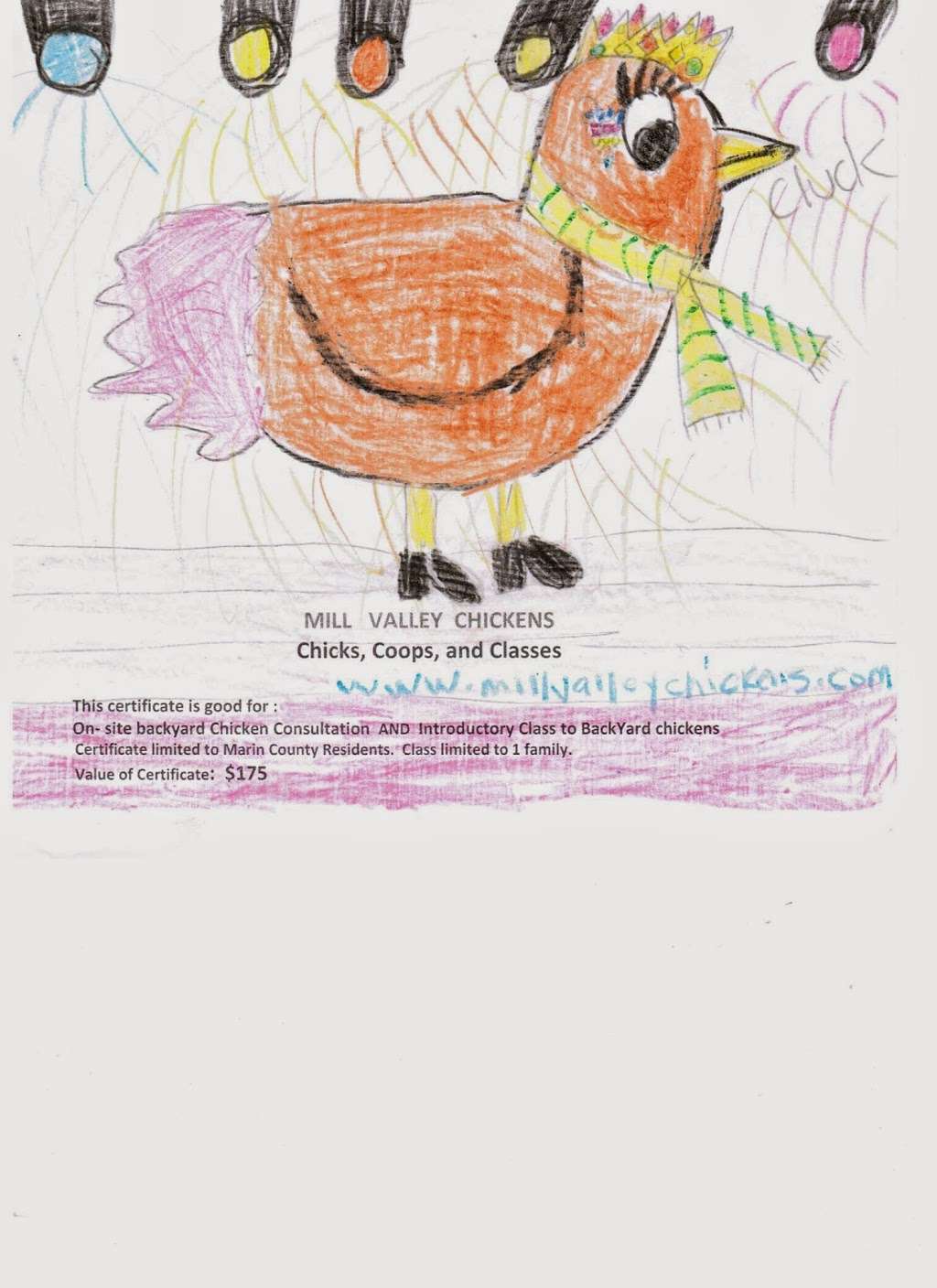 Mill Valley Chickens | 106 Lomita Dr, Mill Valley, CA 94941, USA | Phone: (415) 389-8216