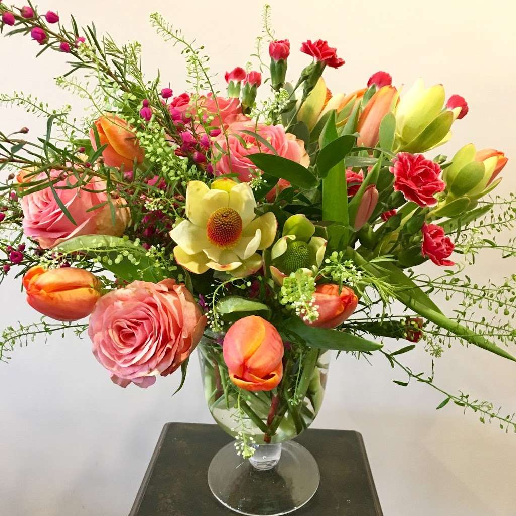 Derby Farm Flowers & Gardens | 218 Massachusetts Ave, Arlington, MA 02474, USA | Phone: (781) 643-0842