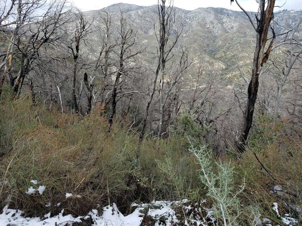 Silver Moccasin Trail Pickup | Angeles Crest Hwy, Angeles National Forest, Palmdale, CA 93550, Palmdale, CA 93550, USA