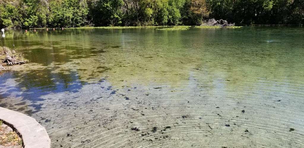 Alexander Springs Recreation Area | Florida, USA