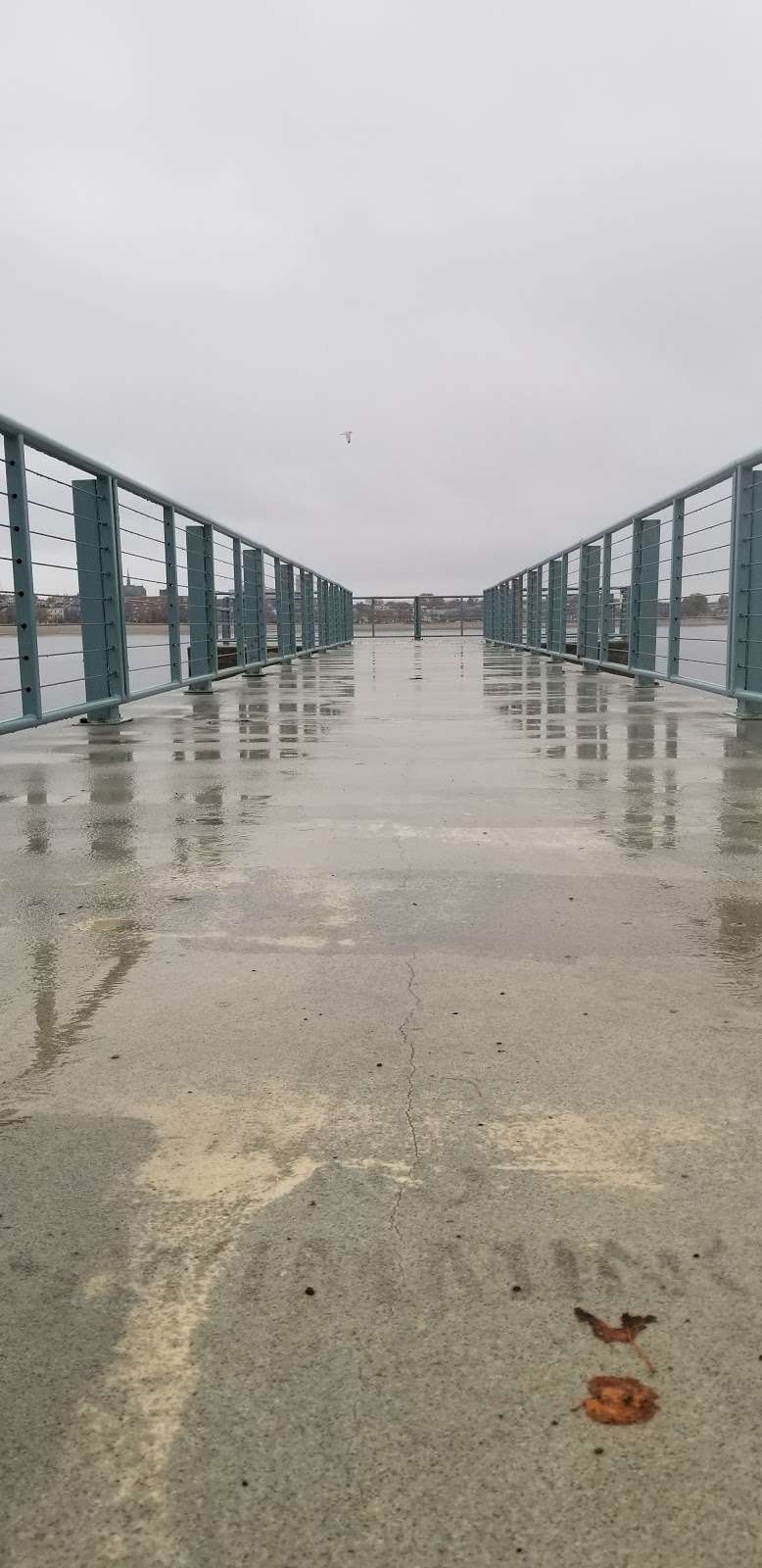 Fox Point Pavilion and Boat Dock | Boston, MA 02125, USA | Phone: (617) 287-5404