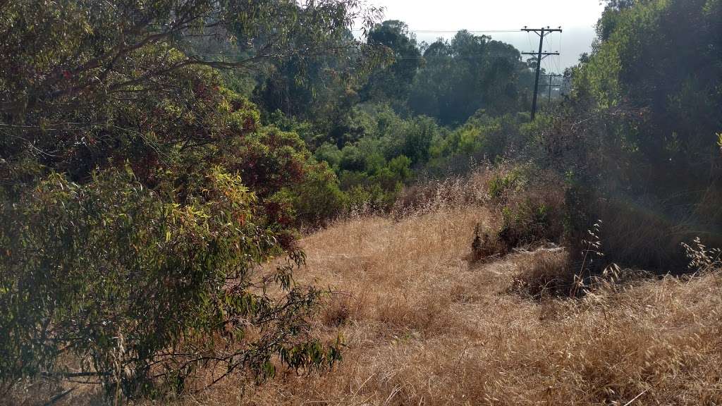 Palos Verdes Dr. N. at Via Alameda | Palos Verdes Estates, CA 90274, USA
