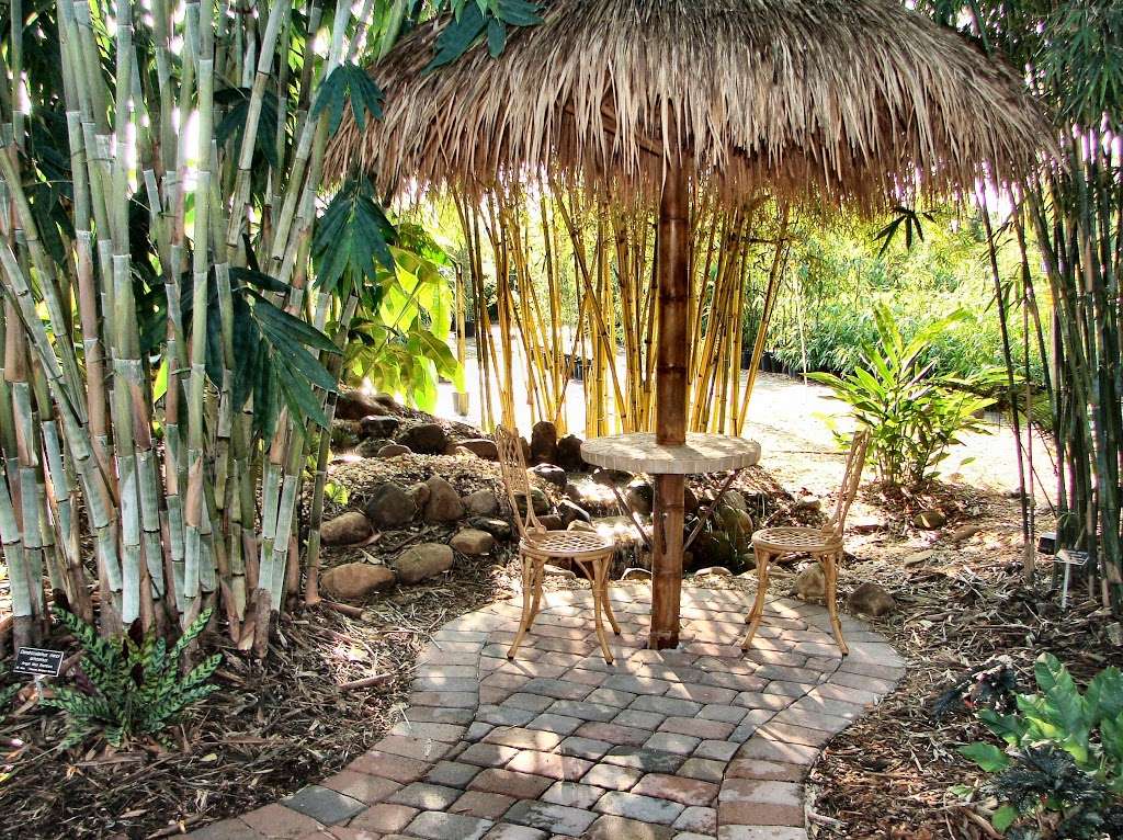 Tropical Bamboo Nursery & Gardens | 2929 G Rd E, Loxahatchee, FL 33470, USA | Phone: (561) 784-2413