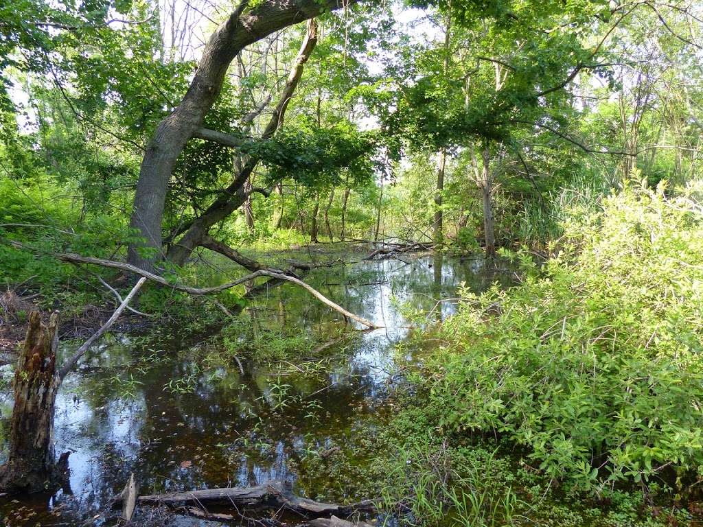 Hempstead Harbor Natural Area | Port Washington, NY 11050, USA