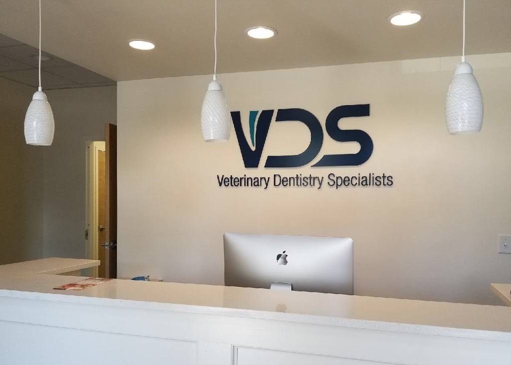 Veterinary Dentistry Specialists | 2061 Briggs Rd #403, Mt Laurel Township, NJ 08054, USA | Phone: (856) 242-9253