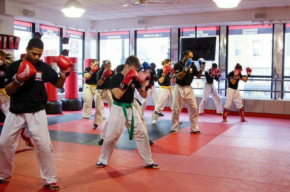 Tiger Schulmanns Martial Arts | 3371 US-1 #103, Lawrence Township, NJ 08648, USA | Phone: (609) 225-4232