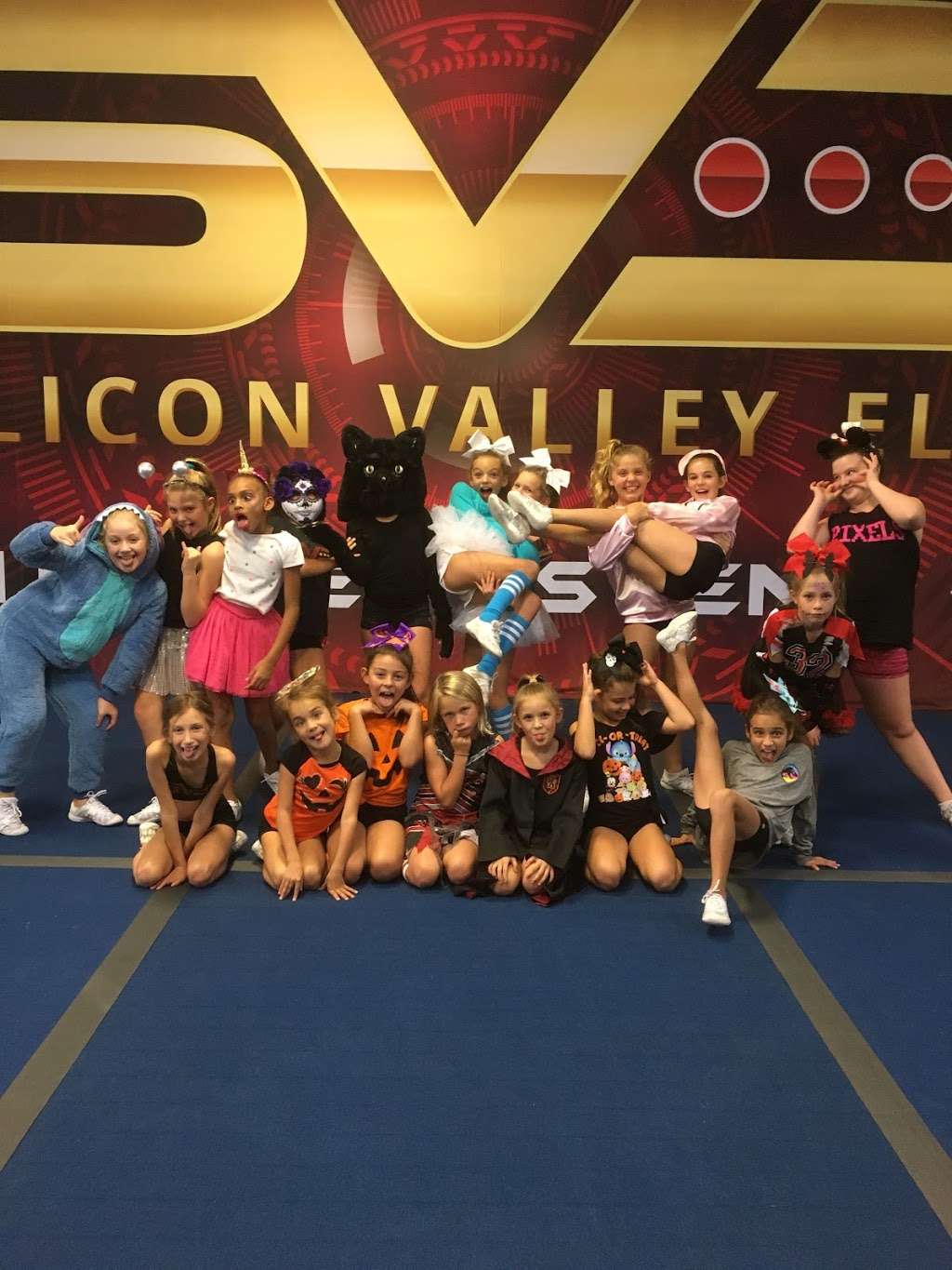 Silicon Valley Elite Cheer | 56 W 42nd Ave, San Mateo, CA 94403 | Phone: (650) 797-8292