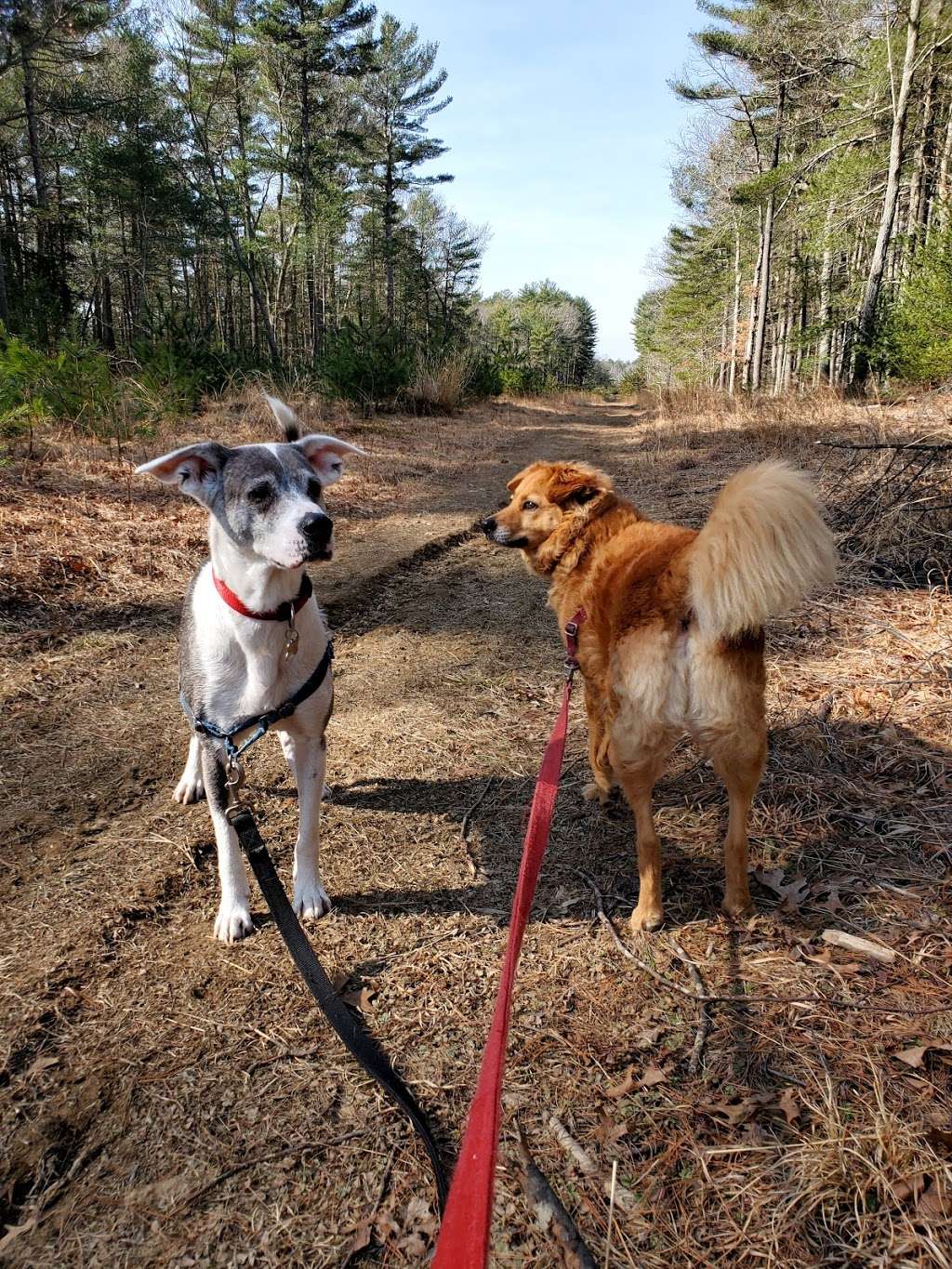 Bay Circuit Trail | 199 Crooker Pl, Hanson, MA 02341, USA