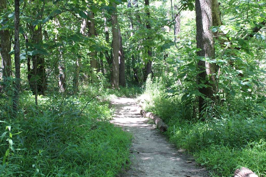 Daubenspeck Community Nature Park | 8900 Ditch Rd, Indianapolis, IN 46260 | Phone: (317) 876-1550