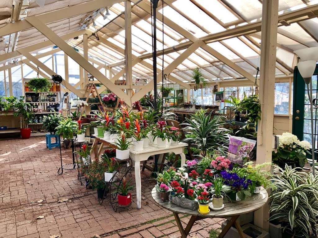 Sloat Garden Center | 828 Diablo Rd, Danville, CA 94526 | Phone: (925) 743-0288