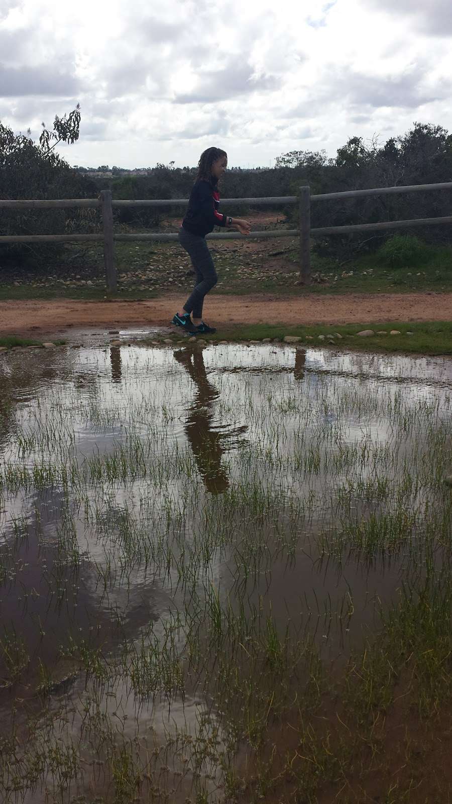 Vernal Pool | San Diego, CA 92129, USA