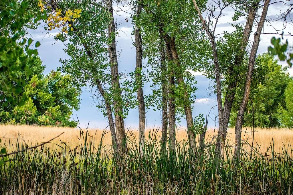 First Creek Den Open Space | 5600-5898 Buckley Rd, Denver, CO 80239, USA