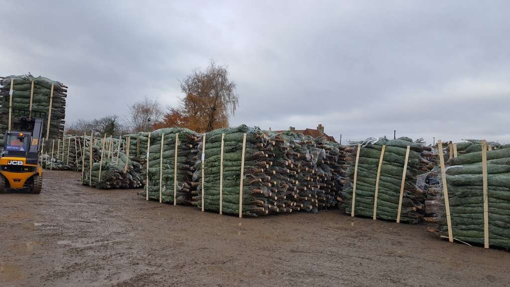 Evergreen Pots & Soil Ltd | Little Woodcote Estate, 53A Woodmansterne Ln, Carshalton, Wallington SM6 0SW, UK | Phone: 020 8773 8322