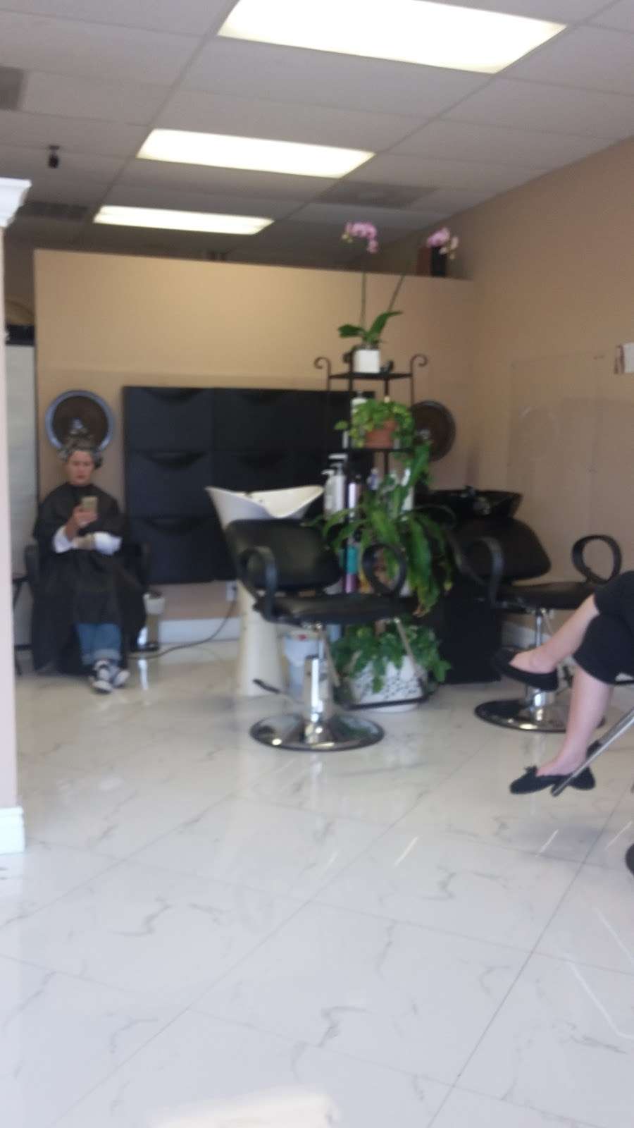 Spring Hair Salon | 6935 Stirling Rd, Davie, FL 33314 | Phone: (954) 554-1879