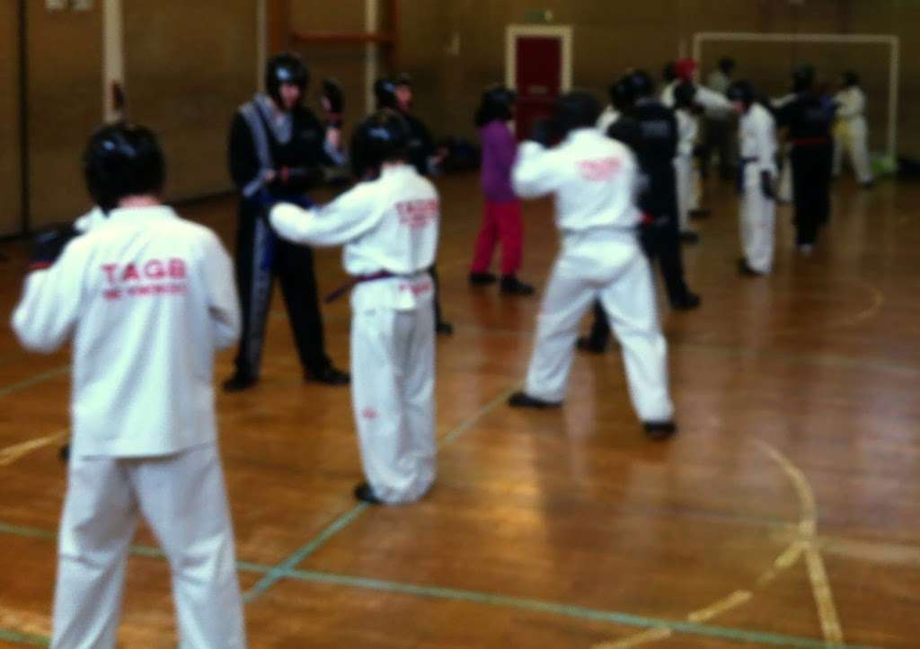 Enfield School of Tae Kwon Do | Grange Park School,, Worlds End Ln, London N21 1PP, UK | Phone: 07967 128420