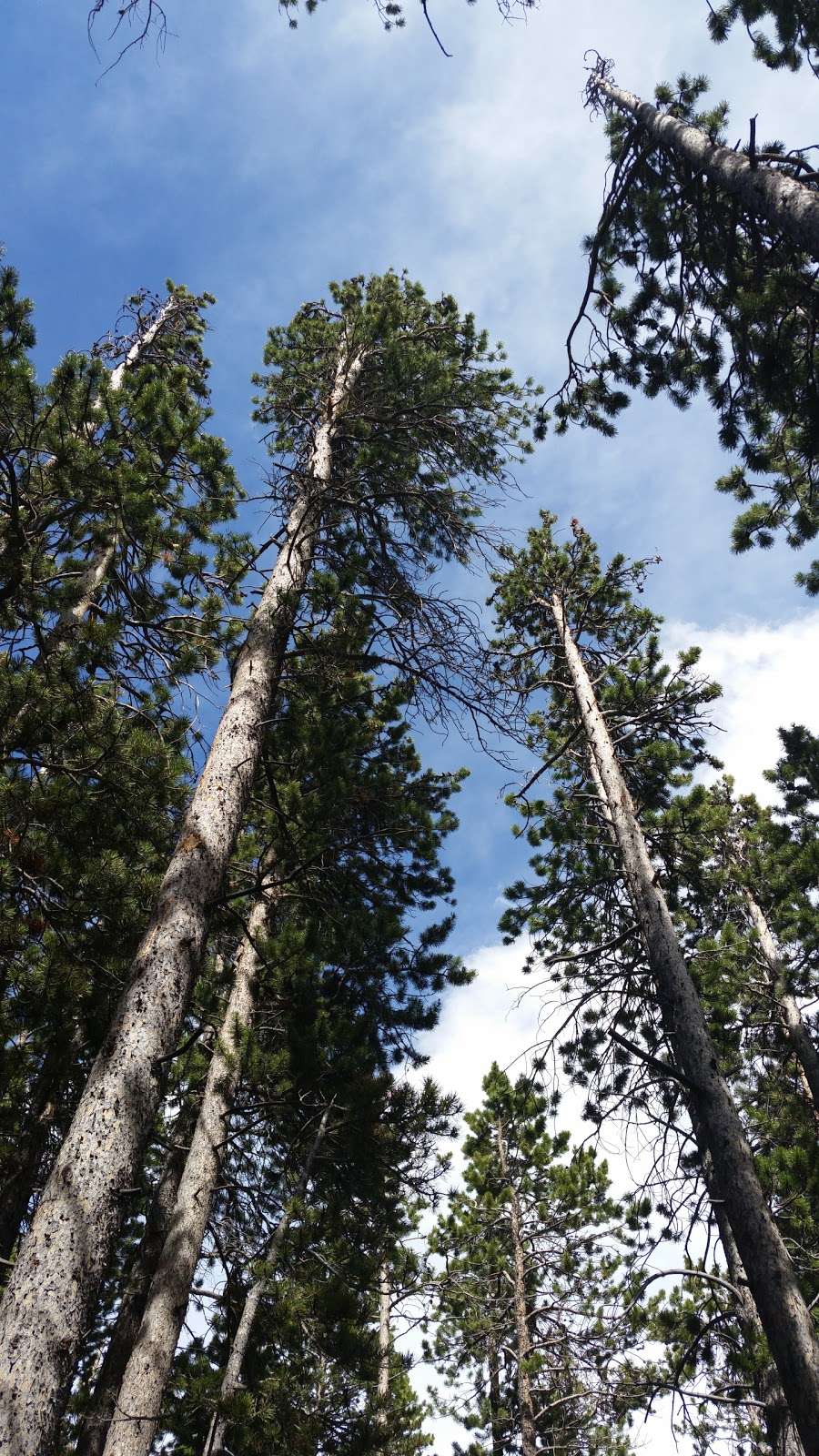 Moore Park | Estes Park, CO 80517, USA