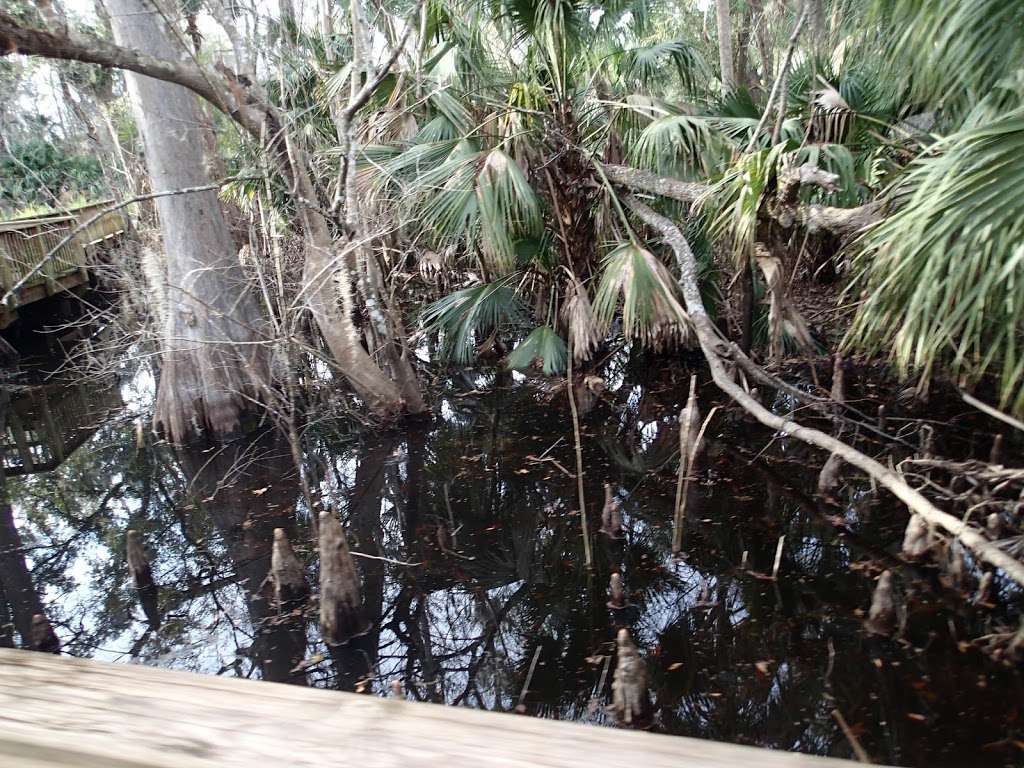 Gemini Springs South Trailhead | DeBary, FL 32713, USA