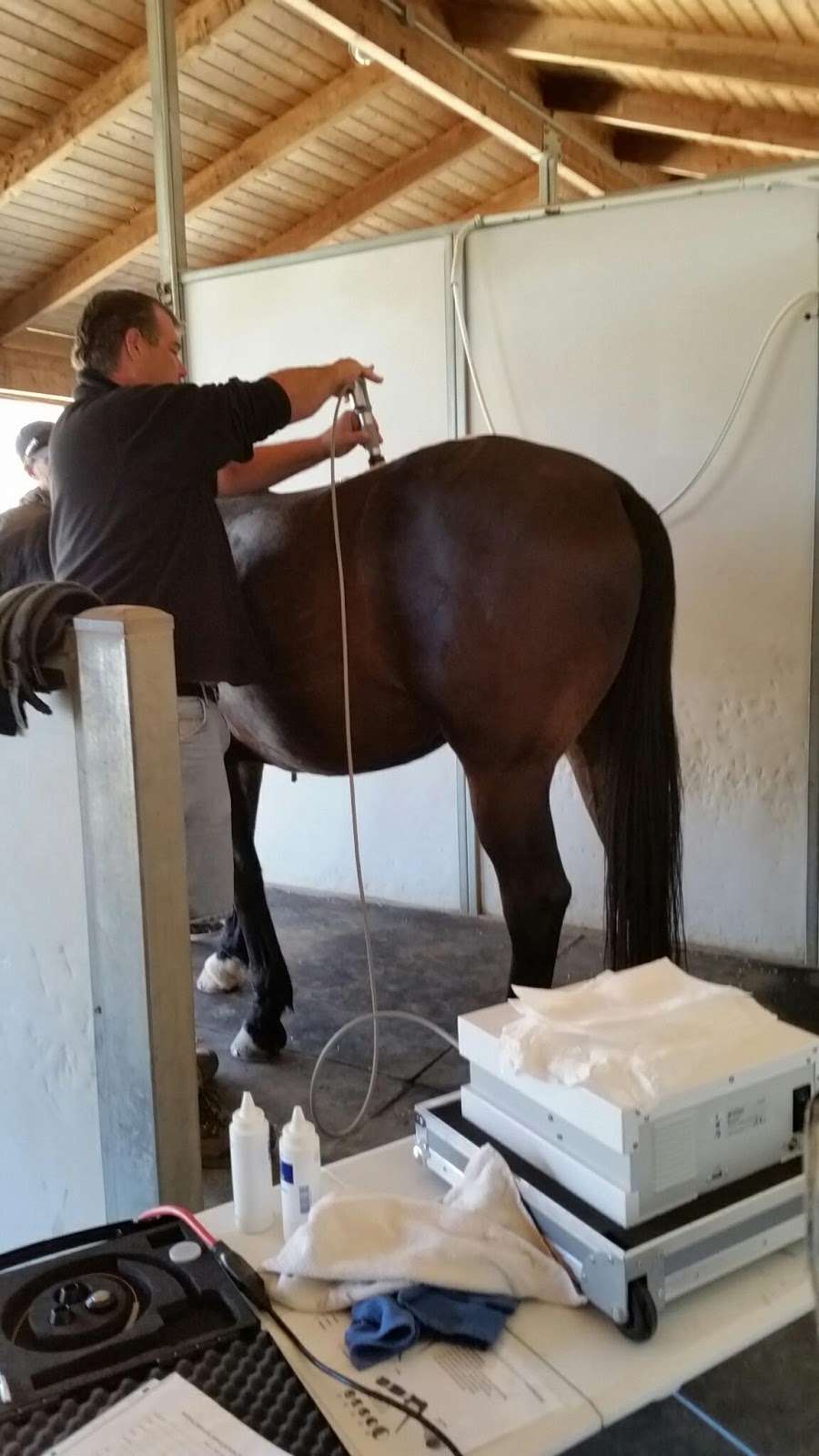 West Coast Equine Medicine | 42225 Remington Ave #A13, Temecula, CA 92590 | Phone: (866) 923-6838