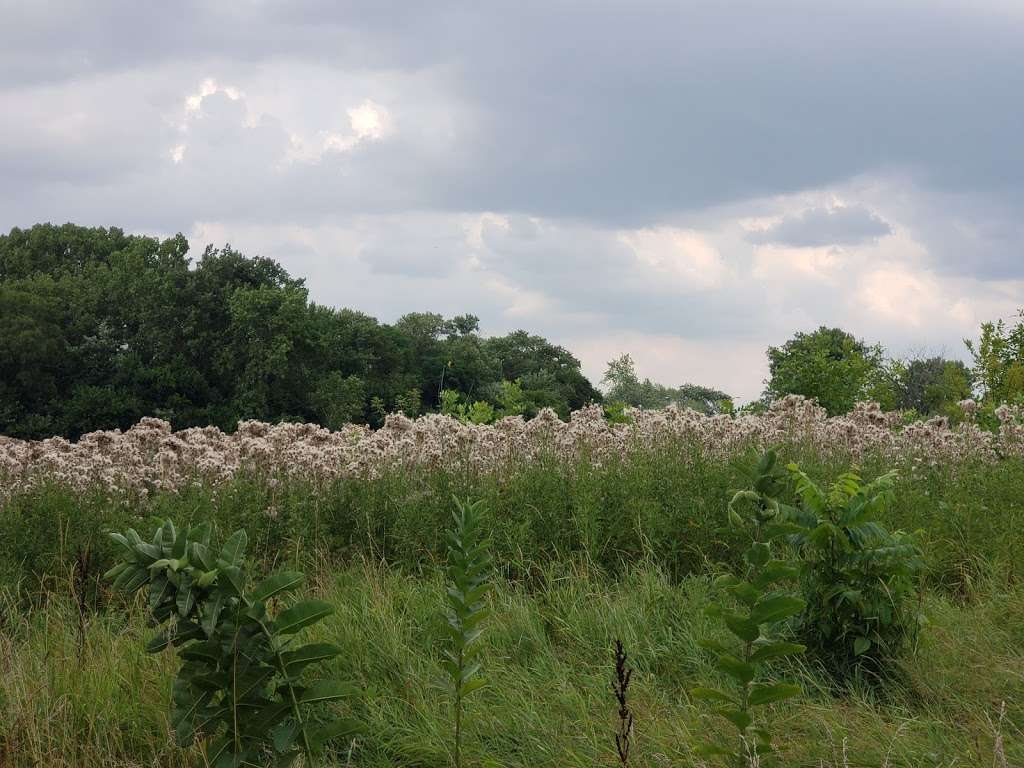 Wentworth Woods Forest Preserve | 401 Calumet Way, Calumet City, IL 60409, USA